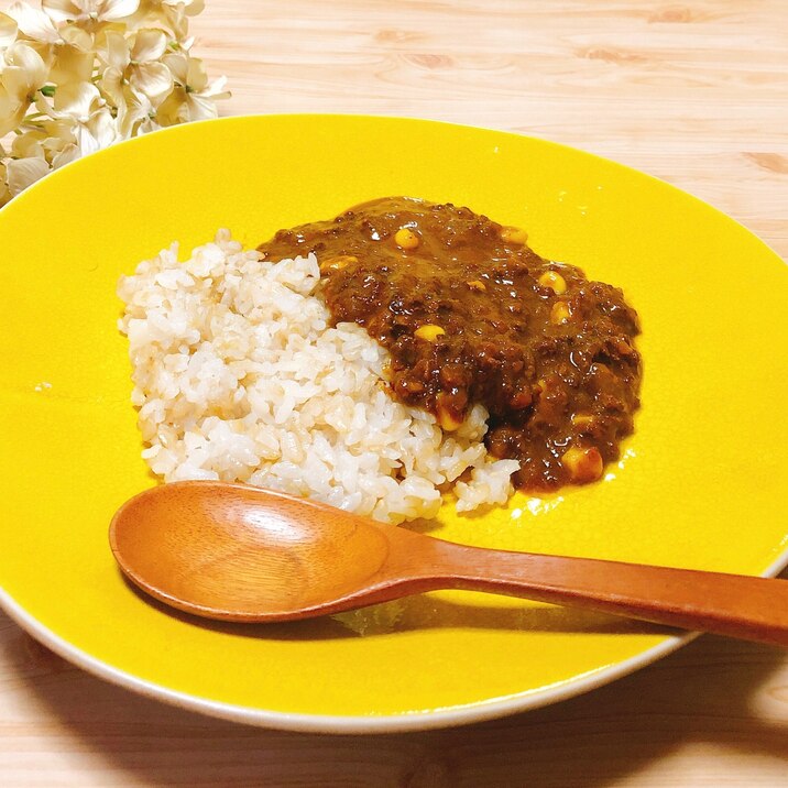 チキンの旨味ꕤ キーマカレー